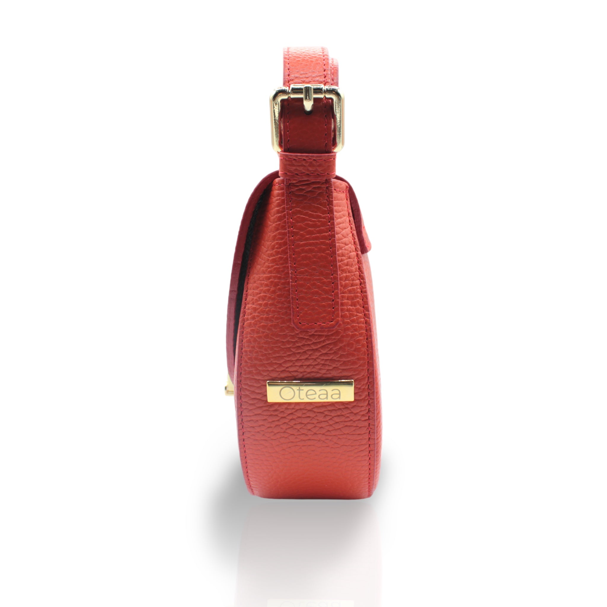 Borsa Mango Saddle Dollaro